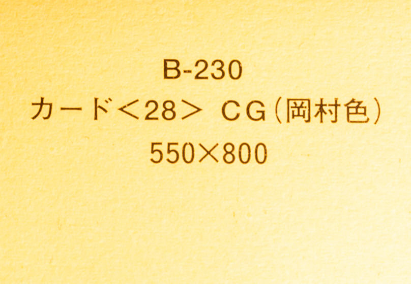 カードB(岡村色) CG